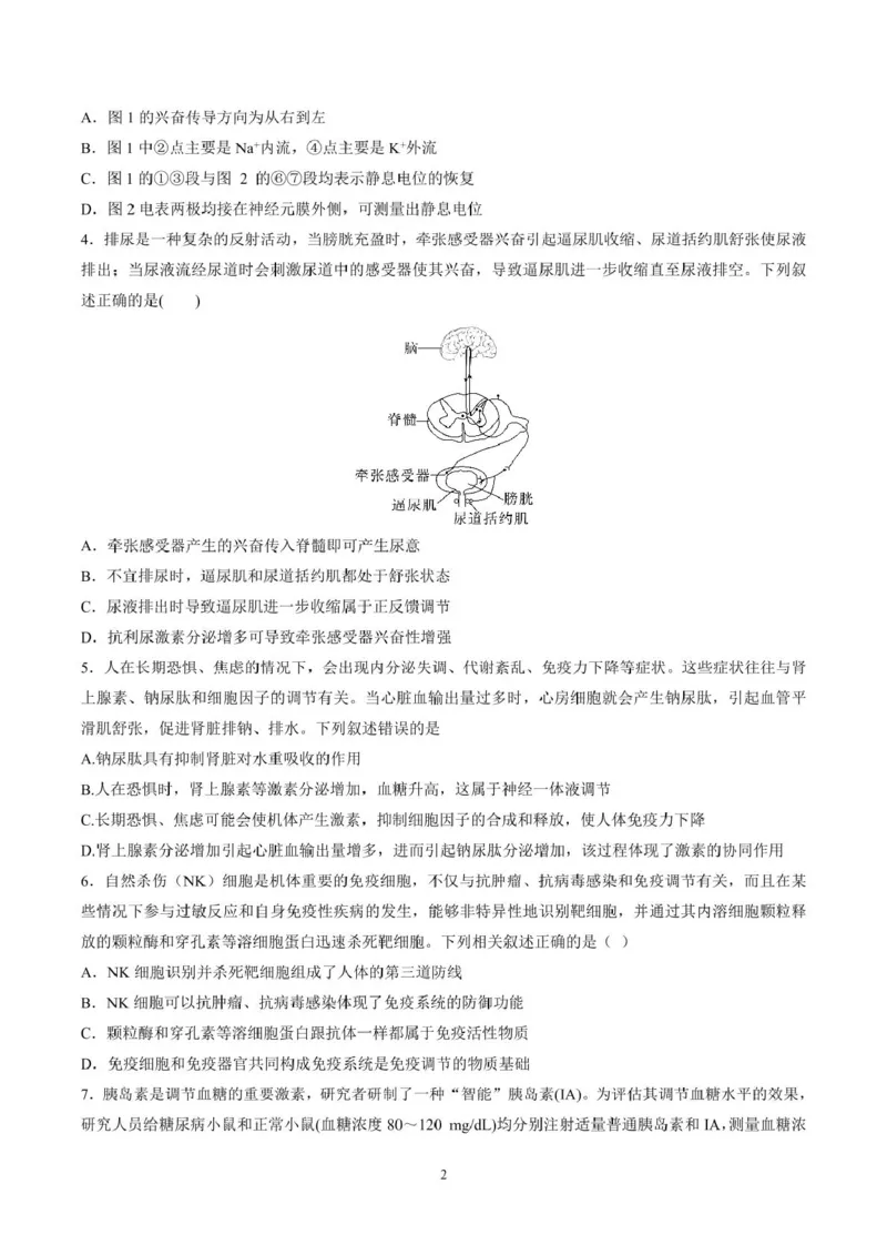 山东师范大学附属中学2025-2026学年高二上学期期中考试生物PDF版含答案_251217山东师范大学附属中学2025-2026学年高二上学期期中考试（全）