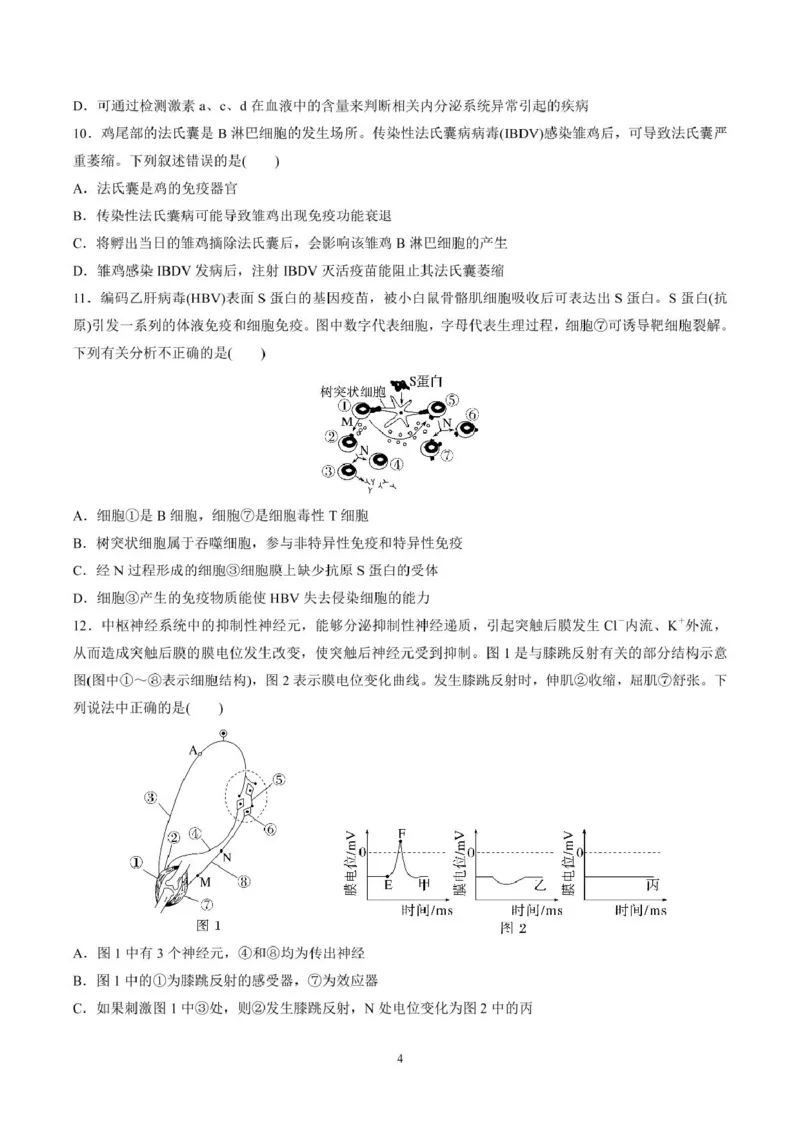 山东师范大学附属中学2025-2026学年高二上学期期中考试生物PDF版含答案_251217山东师范大学附属中学2025-2026学年高二上学期期中考试（全）