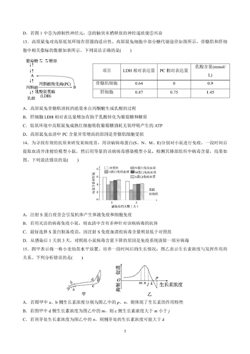 山东师范大学附属中学2025-2026学年高二上学期期中考试生物PDF版含答案_251217山东师范大学附属中学2025-2026学年高二上学期期中考试（全）