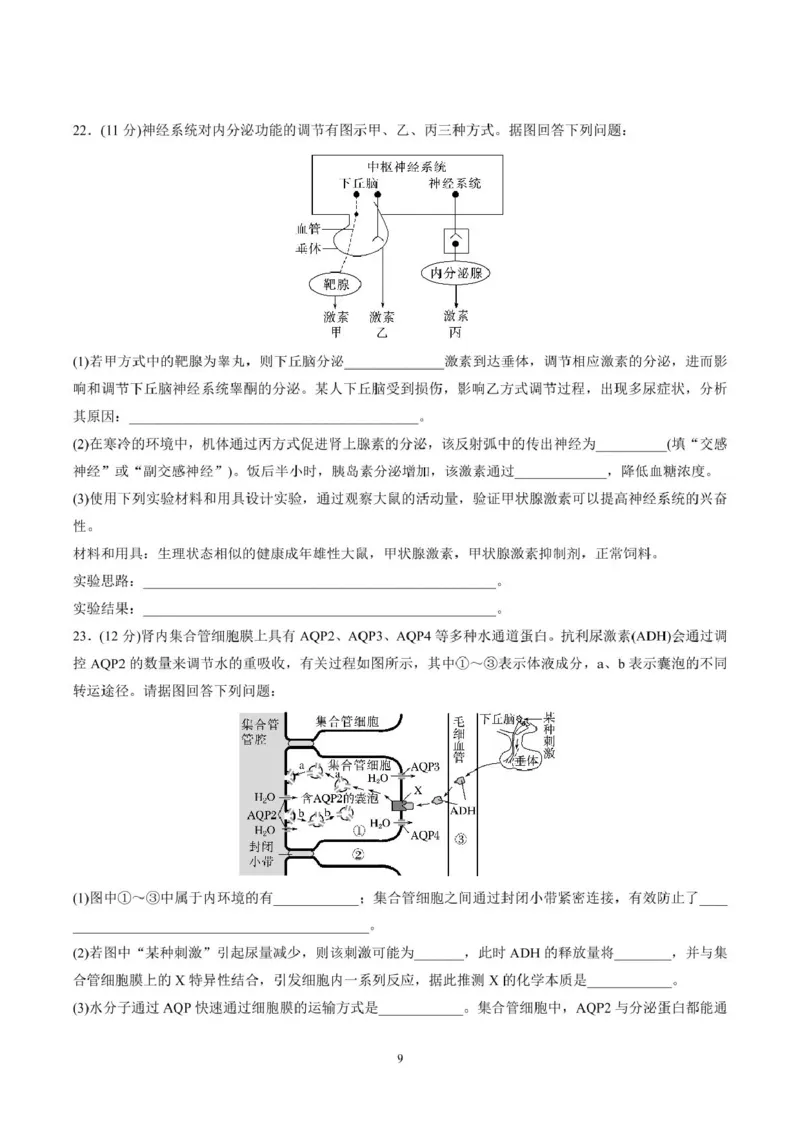 山东师范大学附属中学2025-2026学年高二上学期期中考试生物PDF版含答案_251217山东师范大学附属中学2025-2026学年高二上学期期中考试（全）