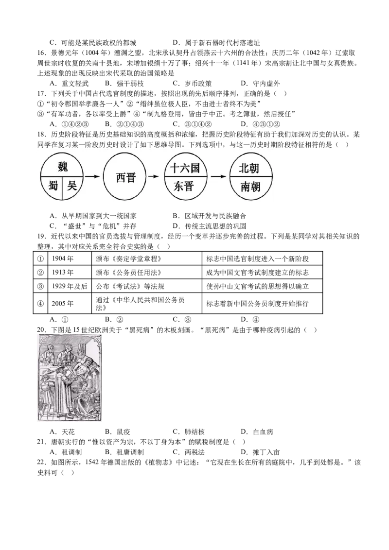 河南省驻马店市新蔡县第一高级中学2024-2025学年高二下学期5月月考历史试题（含答案）_2024-2025高二（7-7月题库）_2025年05月试卷