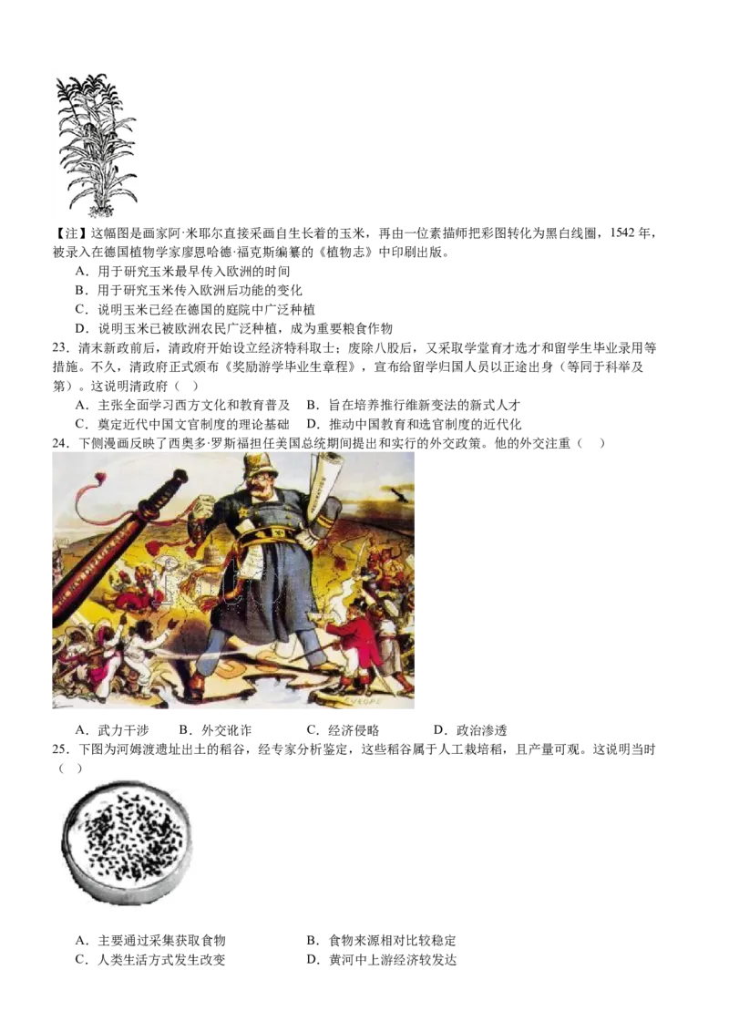 河南省驻马店市新蔡县第一高级中学2024-2025学年高二下学期5月月考历史试题（含答案）_2024-2025高二（7-7月题库）_2025年05月试卷