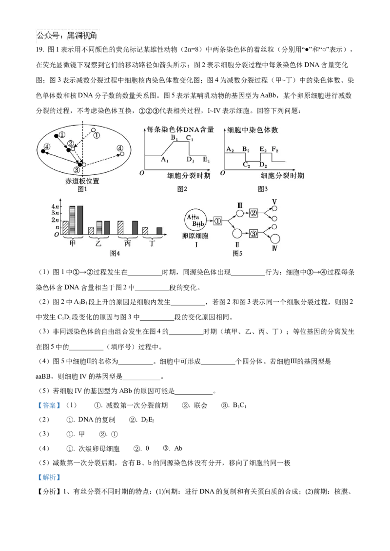 四川省成都市成华区成都列五中学2024-2025学年高三上学期9月月考生物试题Word版含解析_2024-2025高三（6-6月题库）_2024年10月试卷_1010四川省成都列五中学2024-2025学年高三上学期9月月考