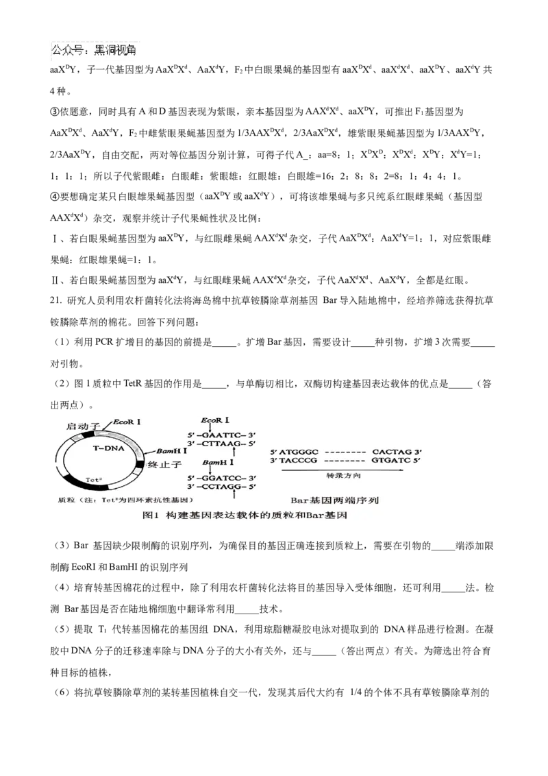 四川省成都市成华区成都列五中学2024-2025学年高三上学期9月月考生物试题Word版含解析_2024-2025高三（6-6月题库）_2024年10月试卷_1010四川省成都列五中学2024-2025学年高三上学期9月月考