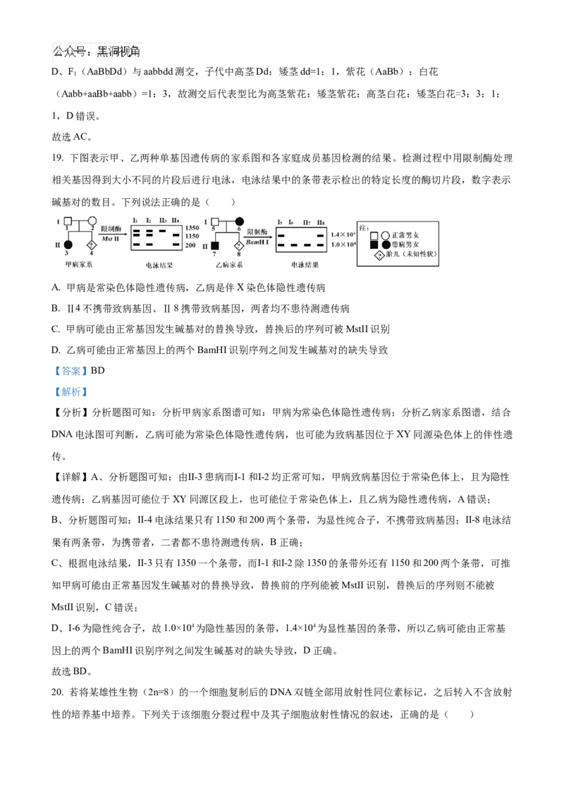 山东省济宁市实验中学2025届高三上学期10月月考生物试题word版含解析_2024-2025高三（6-6月题库）_2024年10月试卷_1031山东省济宁市实验中学2025届高三上学期10月月考