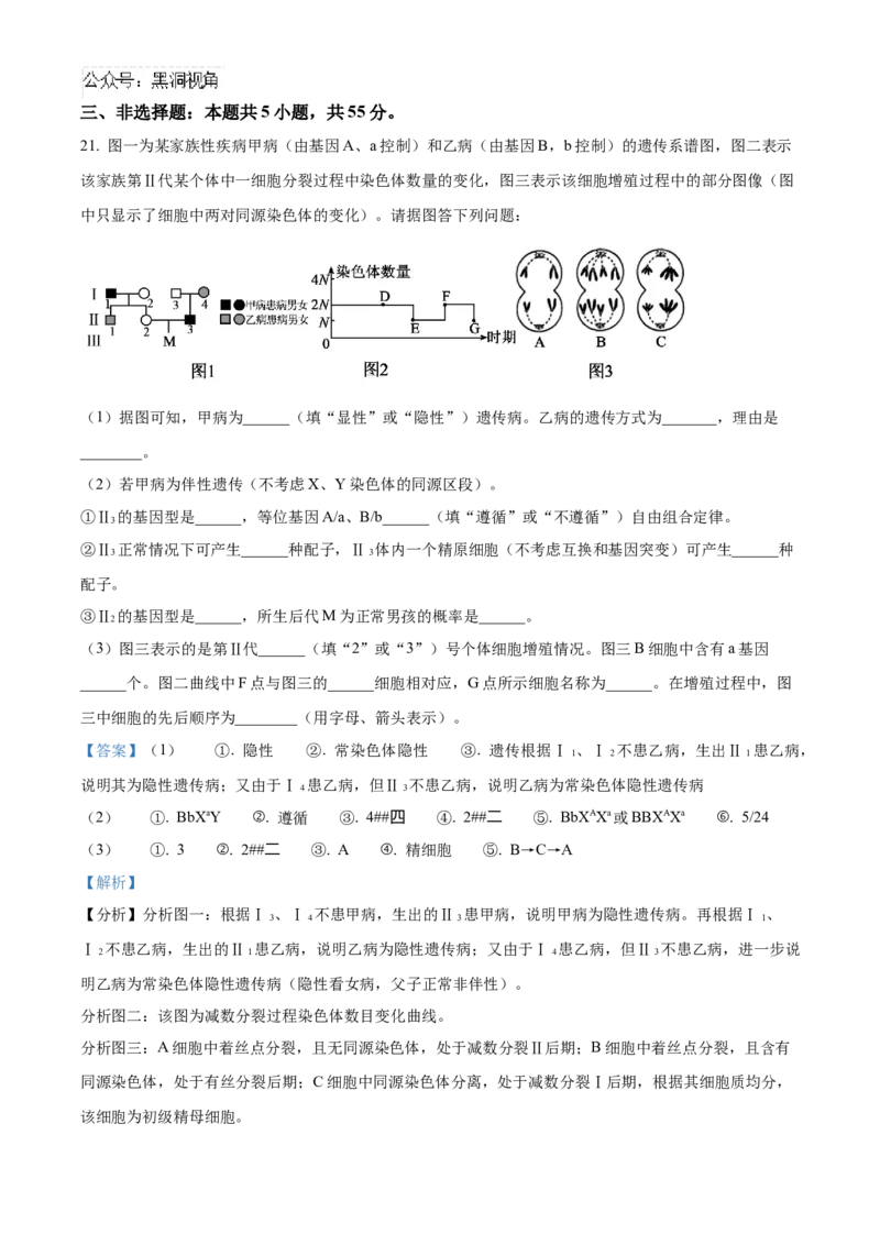 山东省济宁市实验中学2025届高三上学期10月月考生物试题word版含解析_2024-2025高三（6-6月题库）_2024年10月试卷_1031山东省济宁市实验中学2025届高三上学期10月月考