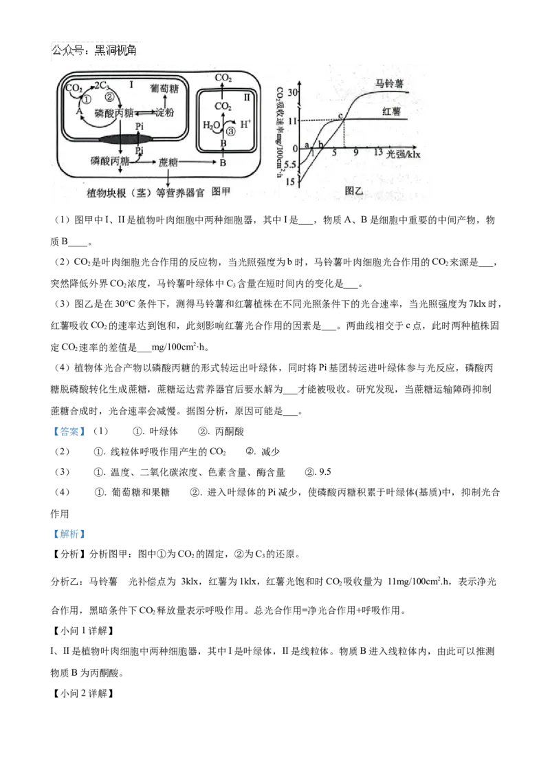 山东省济宁市实验中学2025届高三上学期10月月考生物试题word版含解析_2024-2025高三（6-6月题库）_2024年10月试卷_1031山东省济宁市实验中学2025届高三上学期10月月考