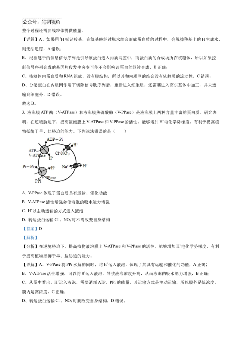 山东省济宁市实验中学2025届高三上学期10月月考生物试题word版含解析_2024-2025高三（6-6月题库）_2024年10月试卷_1031山东省济宁市实验中学2025届高三上学期10月月考