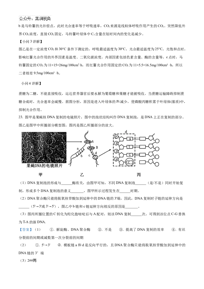 山东省济宁市实验中学2025届高三上学期10月月考生物试题word版含解析_2024-2025高三（6-6月题库）_2024年10月试卷_1031山东省济宁市实验中学2025届高三上学期10月月考