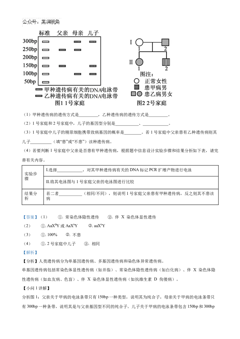 山东省济宁市实验中学2025届高三上学期10月月考生物试题word版含解析_2024-2025高三（6-6月题库）_2024年10月试卷_1031山东省济宁市实验中学2025届高三上学期10月月考