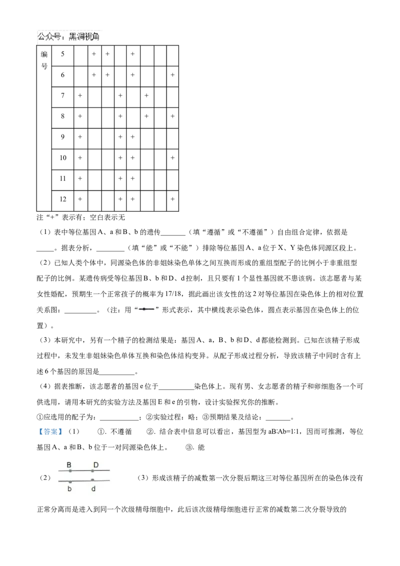 山东省济宁市实验中学2025届高三上学期10月月考生物试题word版含解析_2024-2025高三（6-6月题库）_2024年10月试卷_1031山东省济宁市实验中学2025届高三上学期10月月考