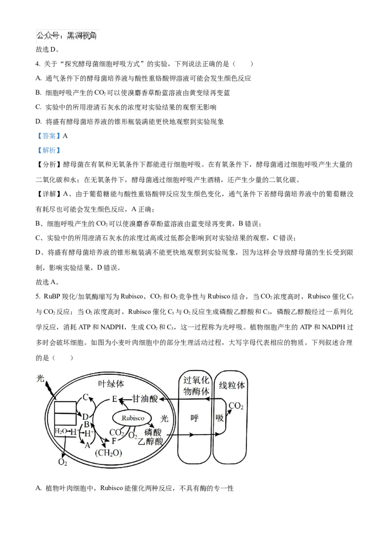 山东省济宁市实验中学2025届高三上学期10月月考生物试题word版含解析_2024-2025高三（6-6月题库）_2024年10月试卷_1031山东省济宁市实验中学2025届高三上学期10月月考