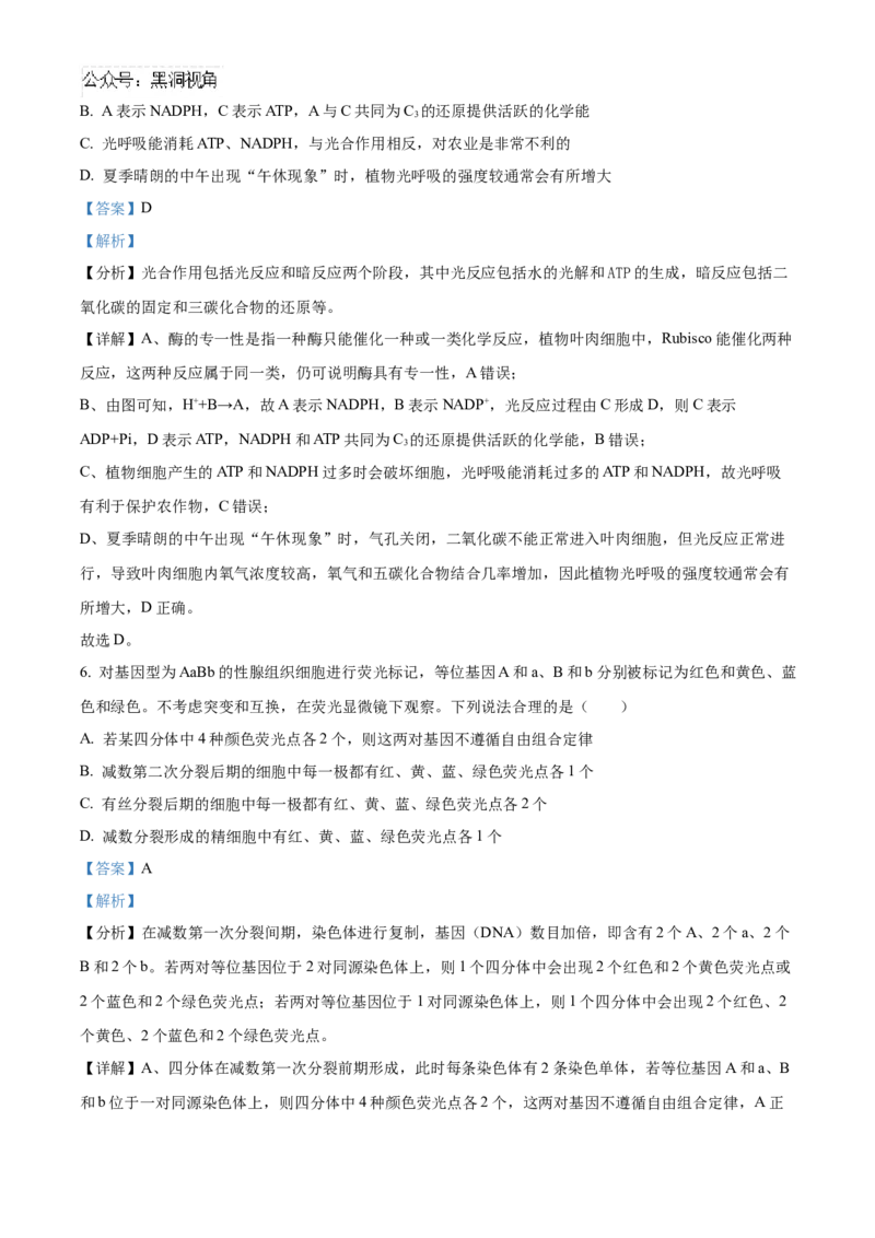 山东省济宁市实验中学2025届高三上学期10月月考生物试题word版含解析_2024-2025高三（6-6月题库）_2024年10月试卷_1031山东省济宁市实验中学2025届高三上学期10月月考
