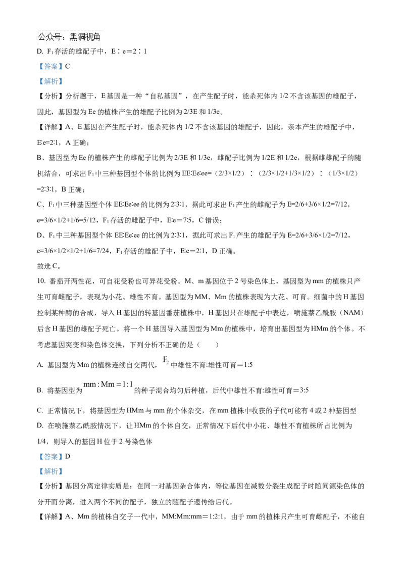 山东省济宁市实验中学2025届高三上学期10月月考生物试题word版含解析_2024-2025高三（6-6月题库）_2024年10月试卷_1031山东省济宁市实验中学2025届高三上学期10月月考
