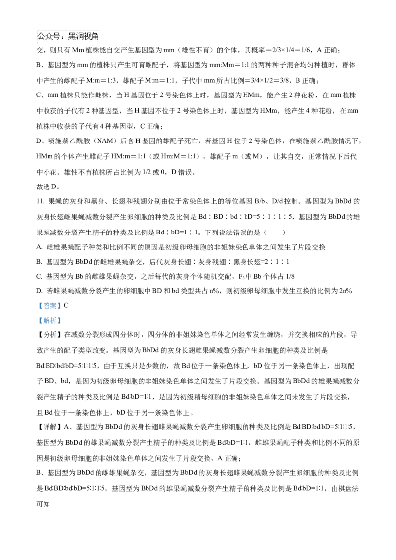山东省济宁市实验中学2025届高三上学期10月月考生物试题word版含解析_2024-2025高三（6-6月题库）_2024年10月试卷_1031山东省济宁市实验中学2025届高三上学期10月月考