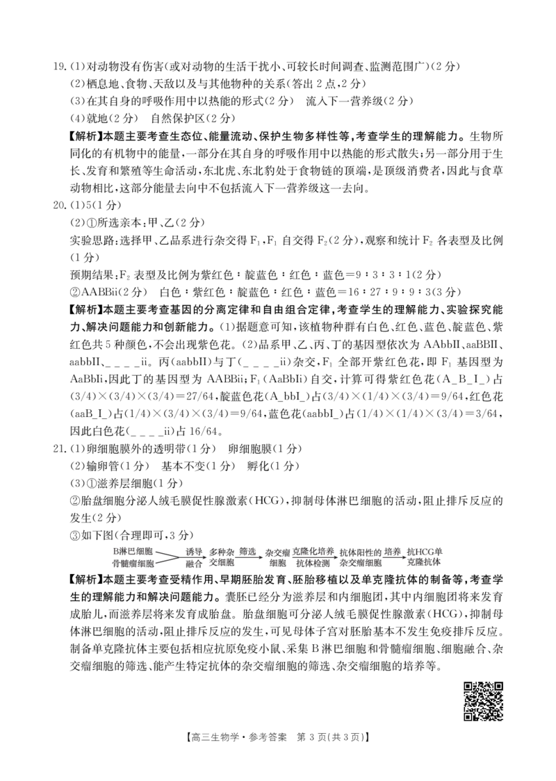 广西2025届高三10月七市联考生物答案_2024-2025高三（6-6月题库）_2024年10月试卷_1020广西七市普通高中毕业班高三模拟测试（金太阳10月联考）