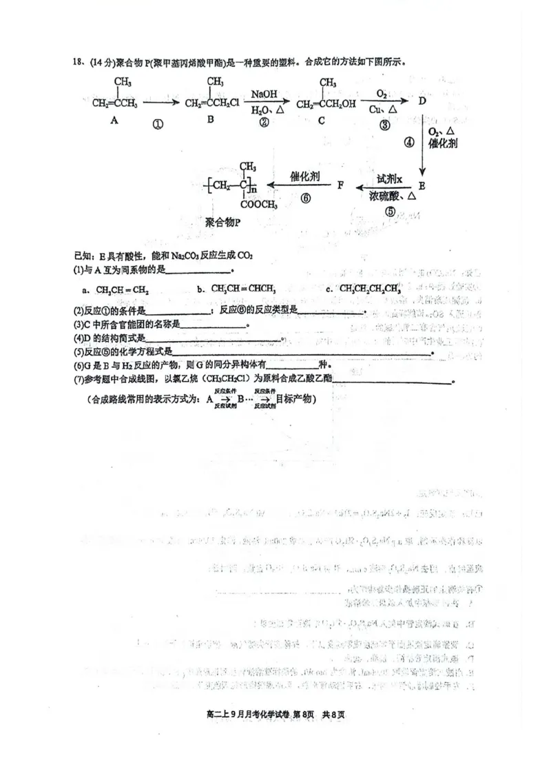 南宁二中2025-09月考高二化学试卷_2025年10月高二试卷_251011广西南宁二中2025-2026学年上学期高二9月月考_南宁二中2025-2026学年上学期高二9月月考化学