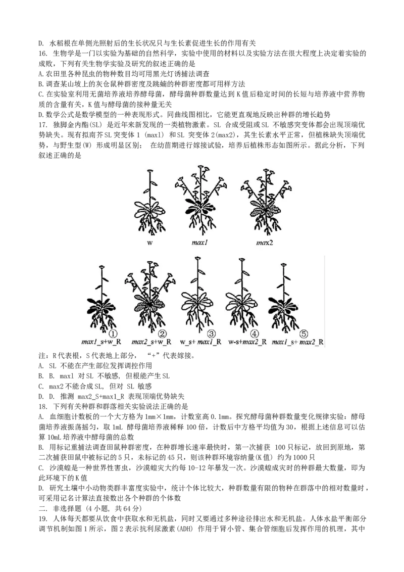 湖北省腾云联盟2024~2025学年高二上学期12月联考生物试卷_2024-2025高二（7-7月题库）_2025年01月试卷_0103湖北省腾云联盟2024-2025学年高二上学期12月联考