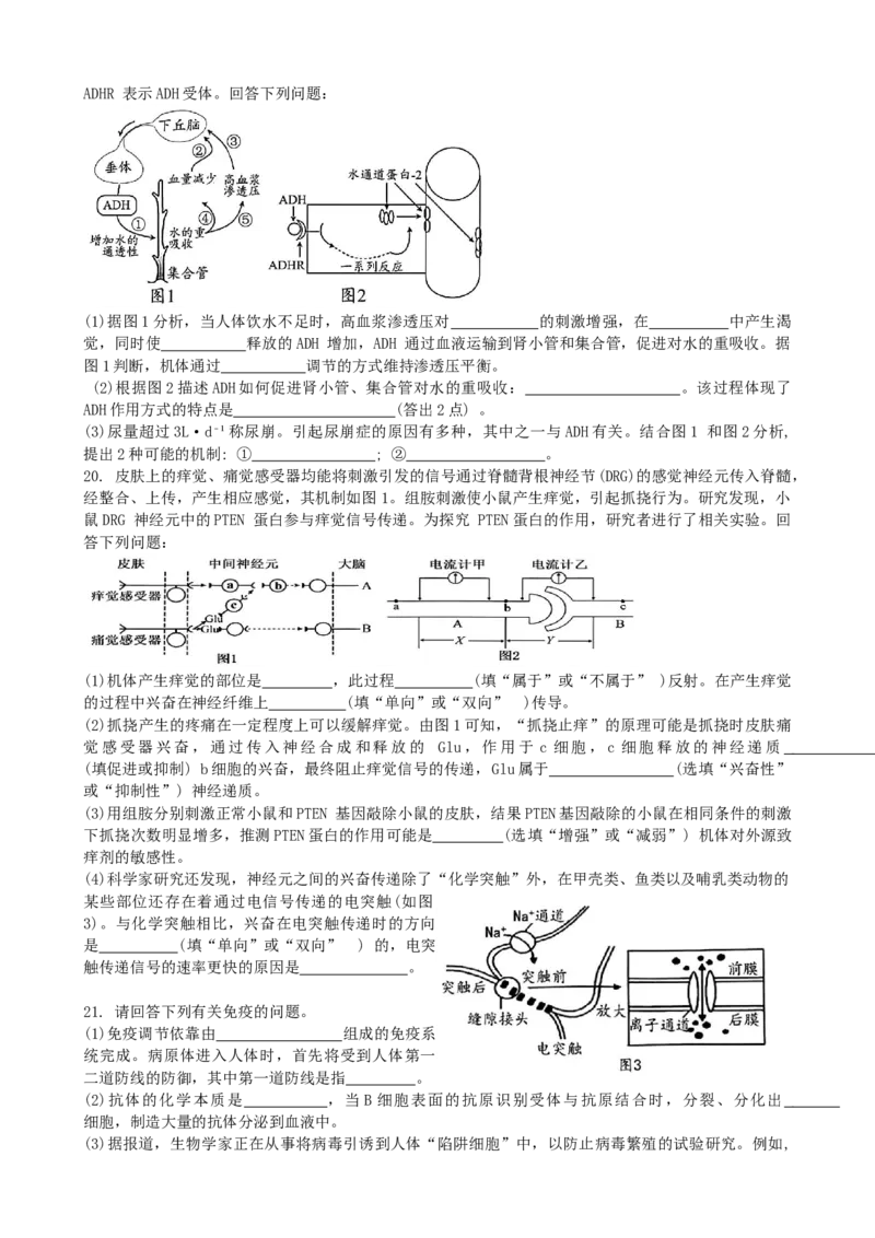 湖北省腾云联盟2024~2025学年高二上学期12月联考生物试卷_2024-2025高二（7-7月题库）_2025年01月试卷_0103湖北省腾云联盟2024-2025学年高二上学期12月联考