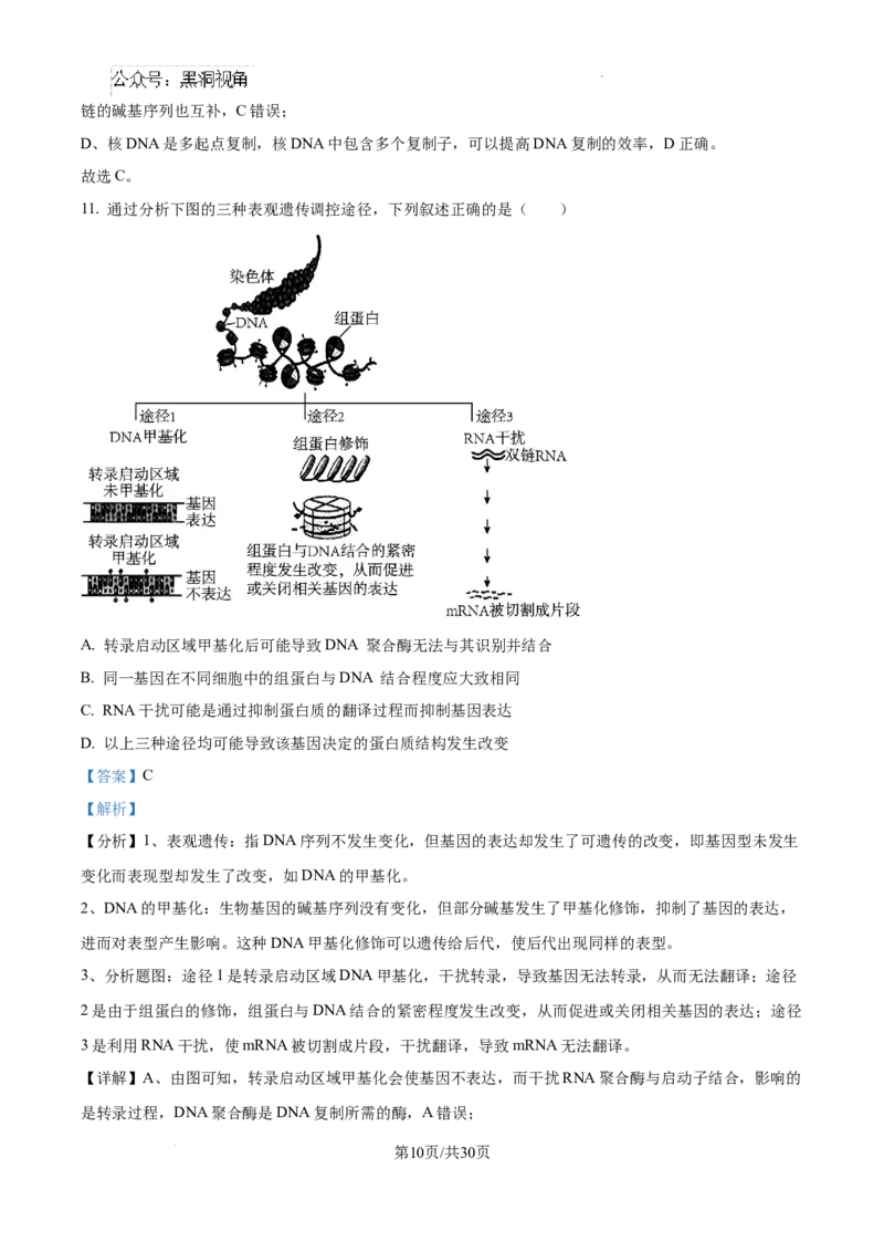 山东省泰安市2024-2025学年高三上学期11月期中考试生物答案_2024-2025高三（6-6月题库）_2024年11月试卷_1125山东省泰安市2024-2025学年高三上学期11月期中考试