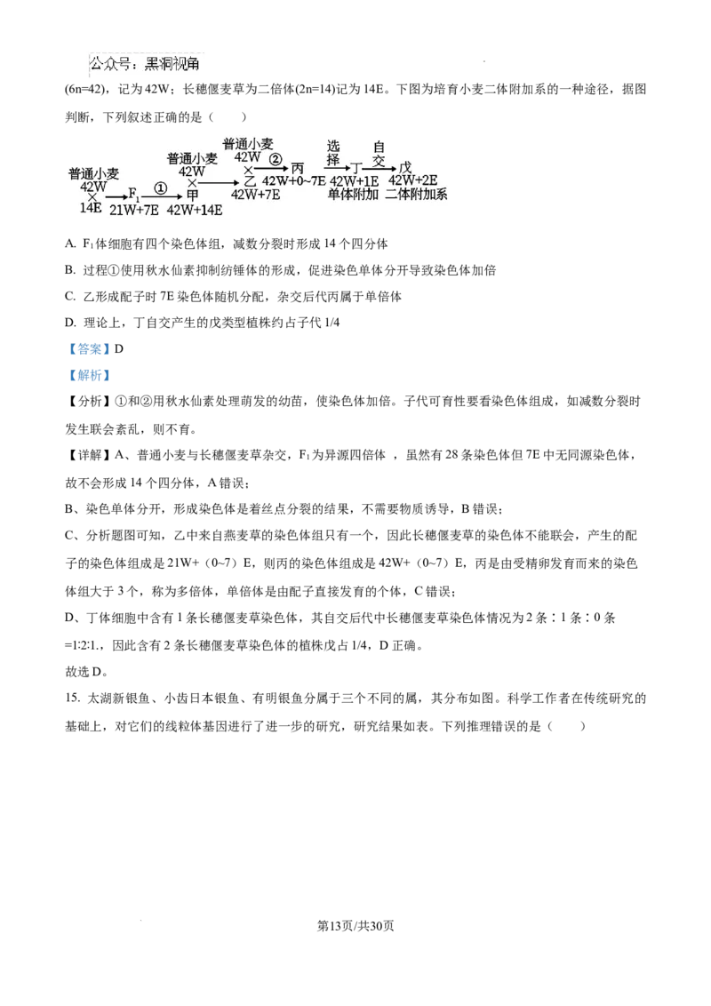 山东省泰安市2024-2025学年高三上学期11月期中考试生物答案_2024-2025高三（6-6月题库）_2024年11月试卷_1125山东省泰安市2024-2025学年高三上学期11月期中考试
