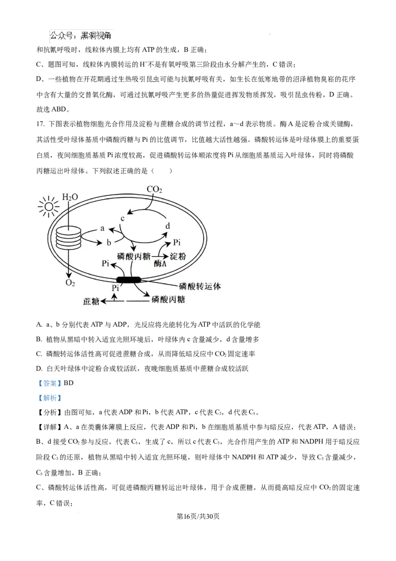 山东省泰安市2024-2025学年高三上学期11月期中考试生物答案_2024-2025高三（6-6月题库）_2024年11月试卷_1125山东省泰安市2024-2025学年高三上学期11月期中考试