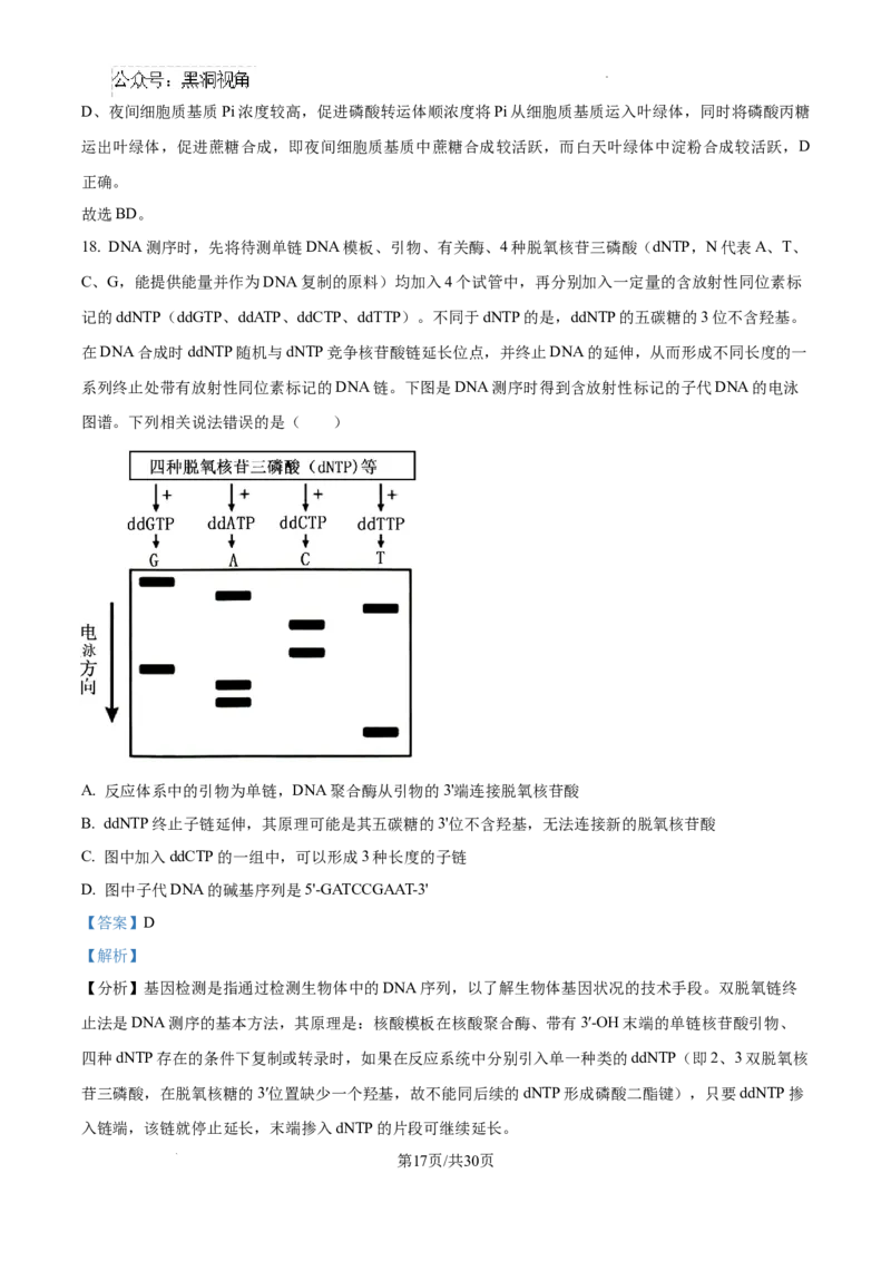 山东省泰安市2024-2025学年高三上学期11月期中考试生物答案_2024-2025高三（6-6月题库）_2024年11月试卷_1125山东省泰安市2024-2025学年高三上学期11月期中考试