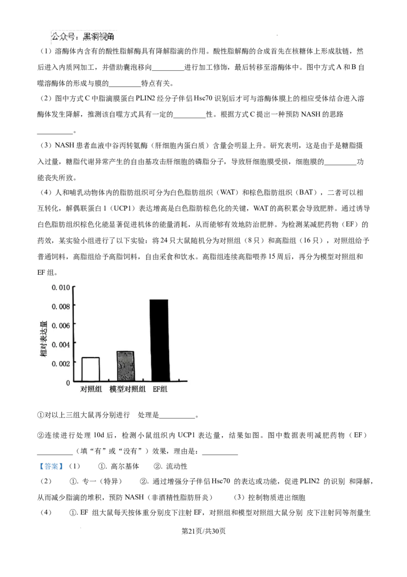 山东省泰安市2024-2025学年高三上学期11月期中考试生物答案_2024-2025高三（6-6月题库）_2024年11月试卷_1125山东省泰安市2024-2025学年高三上学期11月期中考试
