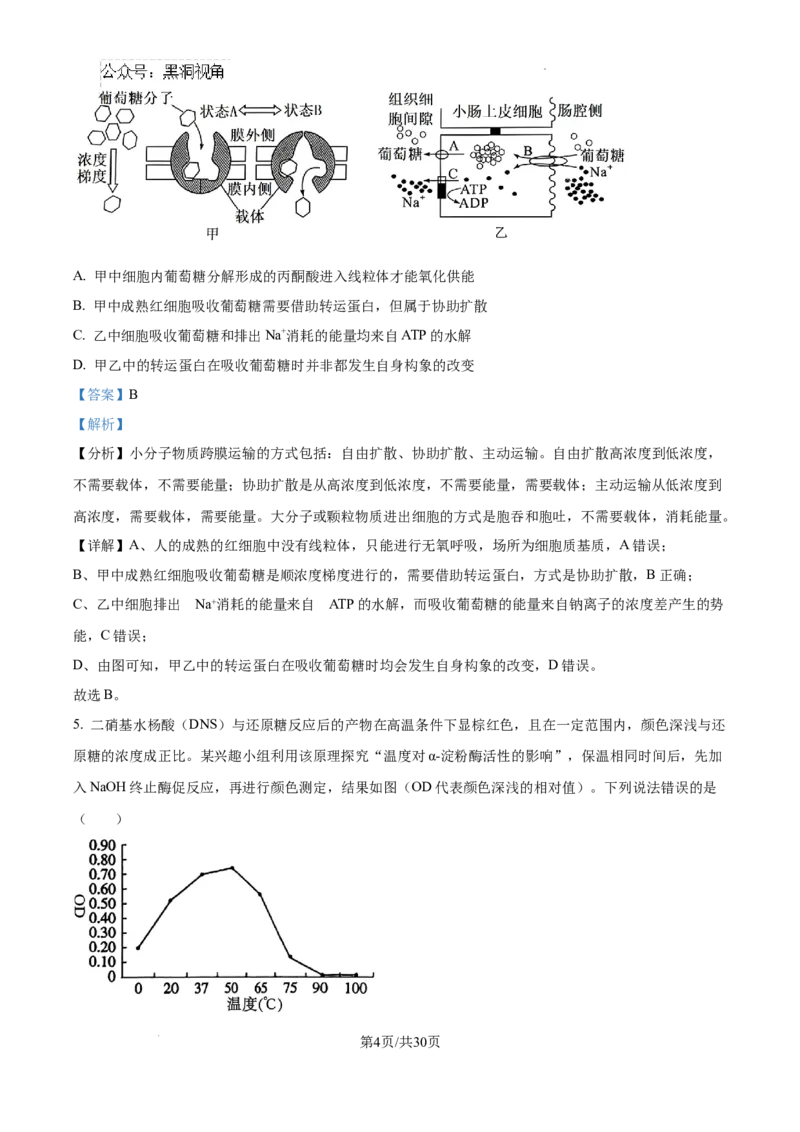 山东省泰安市2024-2025学年高三上学期11月期中考试生物答案_2024-2025高三（6-6月题库）_2024年11月试卷_1125山东省泰安市2024-2025学年高三上学期11月期中考试