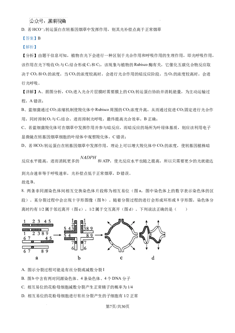 山东省泰安市2024-2025学年高三上学期11月期中考试生物答案_2024-2025高三（6-6月题库）_2024年11月试卷_1125山东省泰安市2024-2025学年高三上学期11月期中考试
