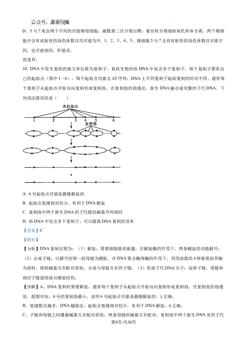 山东省泰安市2024-2025学年高三上学期11月期中考试生物答案_2024-2025高三（6-6月题库）_2024年11月试卷_1125山东省泰安市2024-2025学年高三上学期11月期中考试