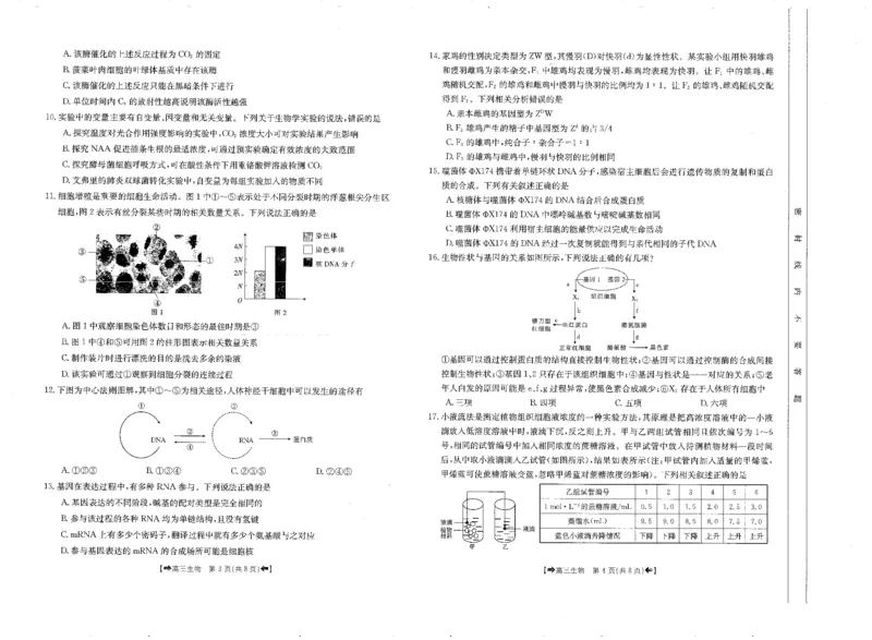 生物(1)_2023年11月_0211月合集_2024届陕西省高三10月金太阳联考98C（箭头）_陕西省2024届高三10月金太阳联考98C（箭头）生物