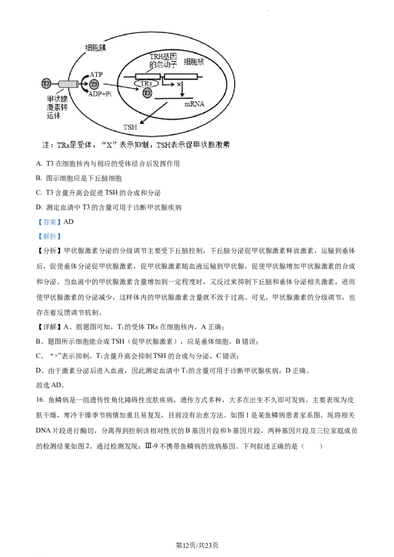 精品解析：湖南省邵阳市武冈市2023-2024学年高三上学期期中生物试题（解析版）(1)_2023年11月_0211月合集_2024届湖南省邵阳市武冈市高三上学期期中考试