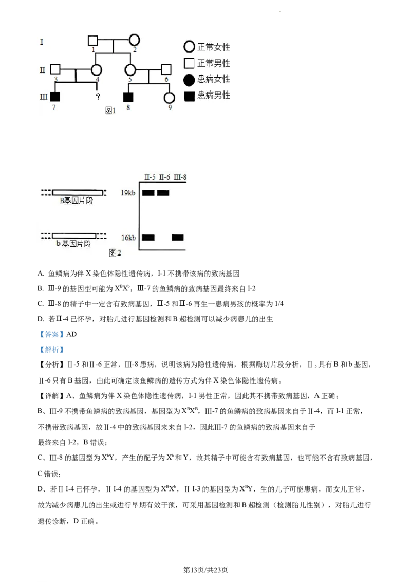 精品解析：湖南省邵阳市武冈市2023-2024学年高三上学期期中生物试题（解析版）(1)_2023年11月_0211月合集_2024届湖南省邵阳市武冈市高三上学期期中考试