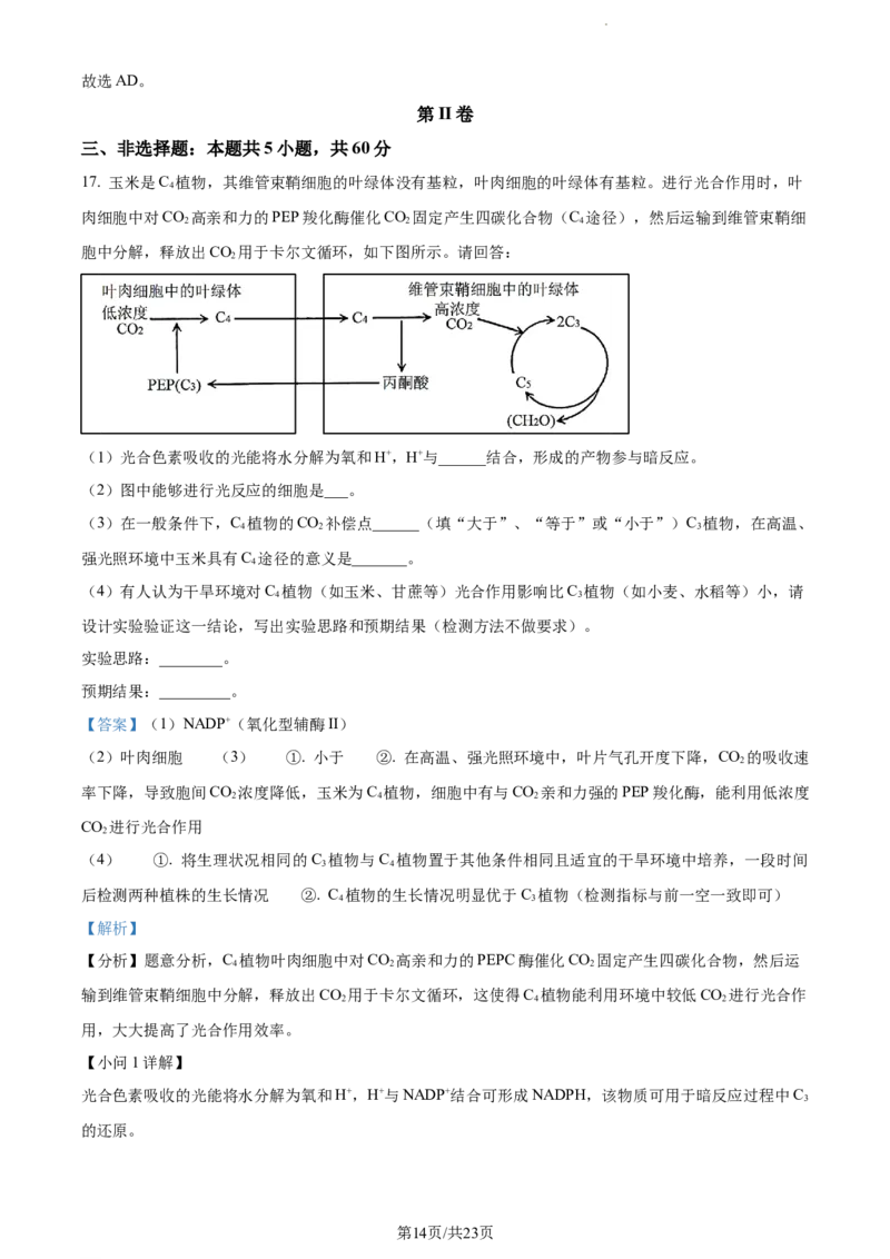 精品解析：湖南省邵阳市武冈市2023-2024学年高三上学期期中生物试题（解析版）(1)_2023年11月_0211月合集_2024届湖南省邵阳市武冈市高三上学期期中考试
