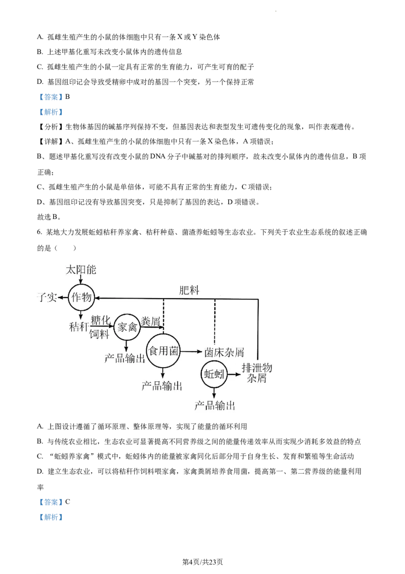 精品解析：湖南省邵阳市武冈市2023-2024学年高三上学期期中生物试题（解析版）(1)_2023年11月_0211月合集_2024届湖南省邵阳市武冈市高三上学期期中考试