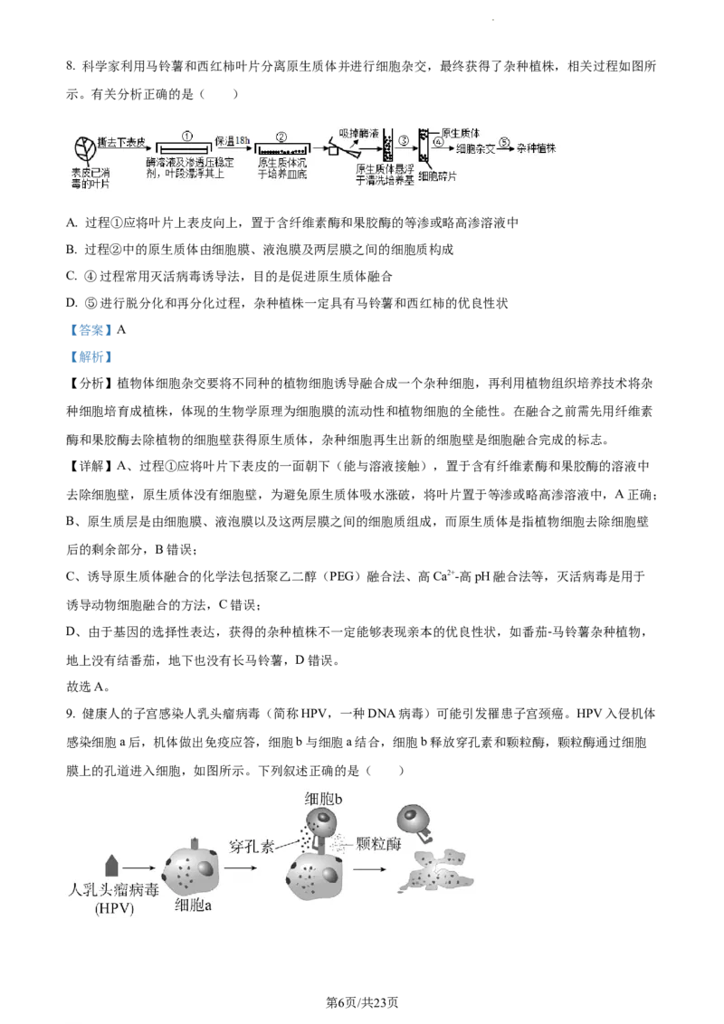 精品解析：湖南省邵阳市武冈市2023-2024学年高三上学期期中生物试题（解析版）(1)_2023年11月_0211月合集_2024届湖南省邵阳市武冈市高三上学期期中考试