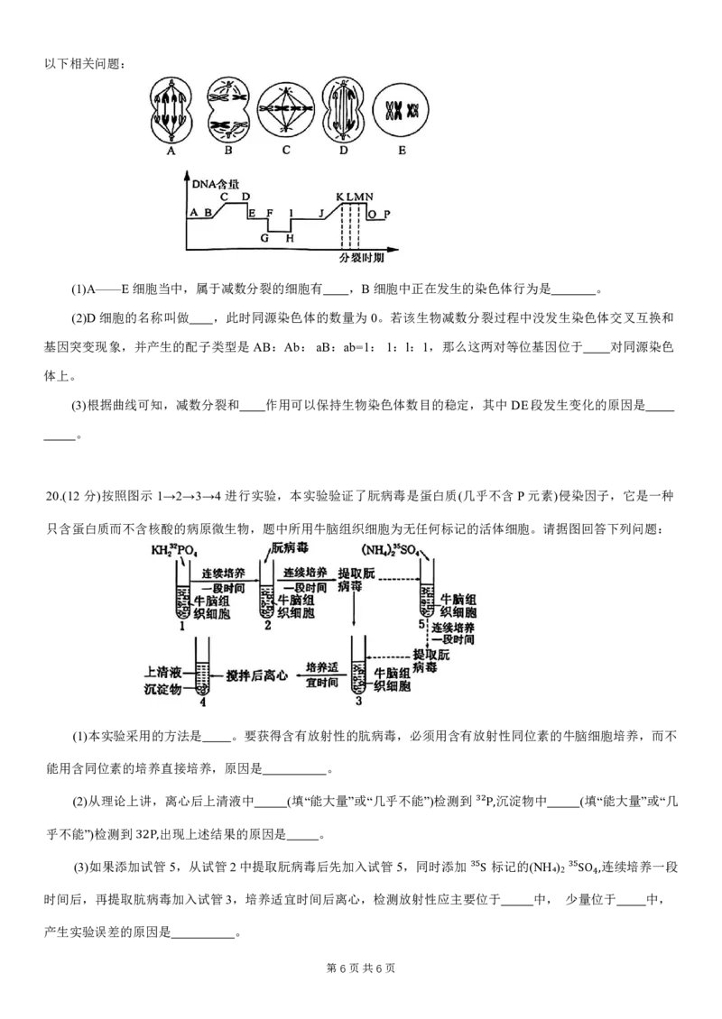 重庆主城区半期高2024届高三第一学期期中考试生物试题_2023年11月_01每日更新_12号_2024届重庆主城九龙坡区高高三第一学期期中考试_重庆主城九龙坡区高2024届高三第一学期期中考试生物