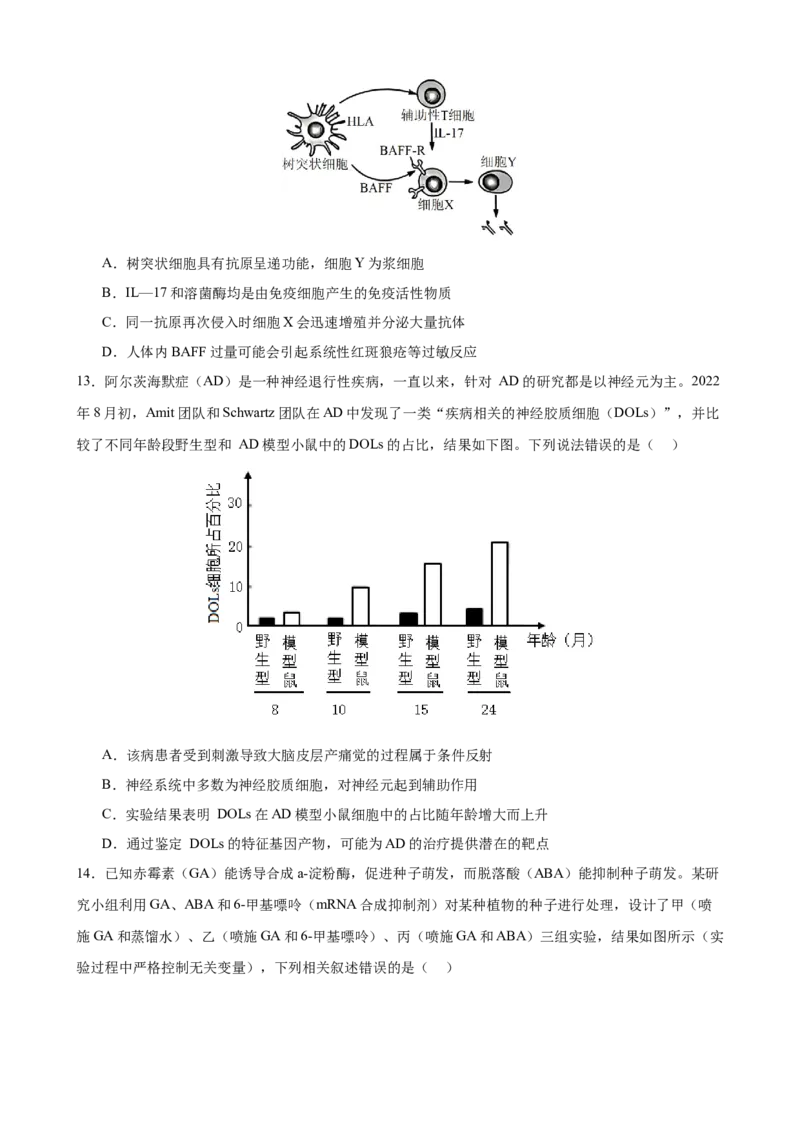 山东省济南市市中区2024-2025学年高二上学期1月期末生物试题_2024-2025高二（7-7月题库）_2025年02月试卷_0225山东省济南市2024-2025学年高二上学期1月期末考试