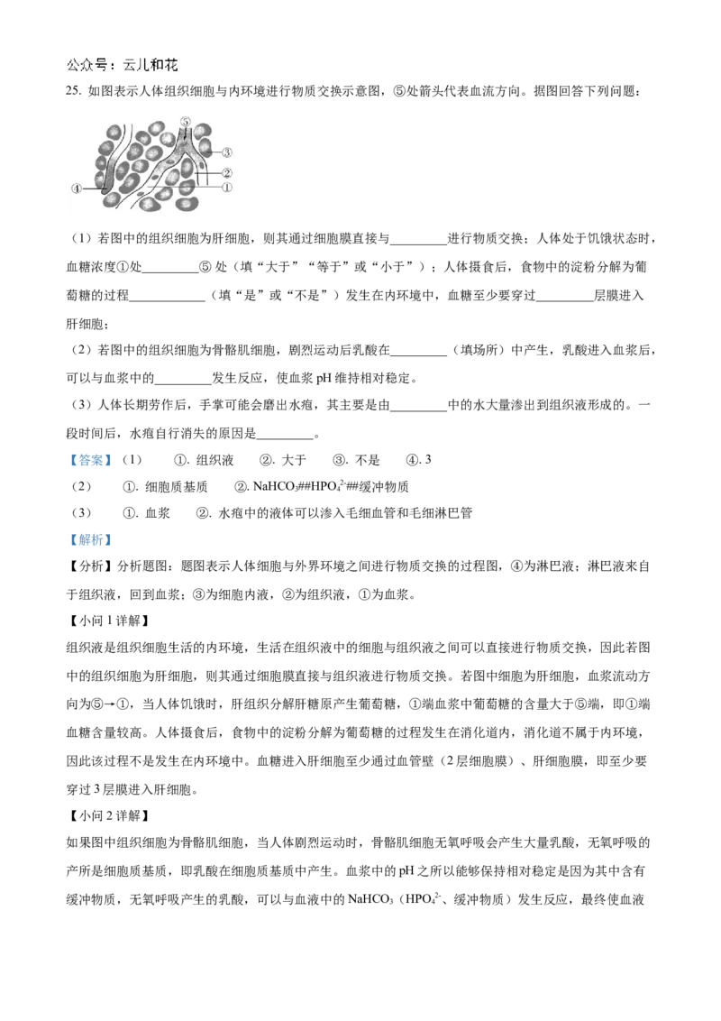 浙江省宁波市三锋教研联盟2024-2025学年高二上学期期中考试生物Word版含解析_2024-2025高二（7-7月题库）_2024年12月试卷_1211浙江省宁波市三锋教研联盟2024-2025学年高二上学期期中考试