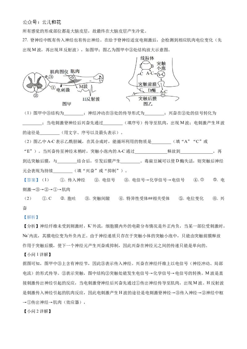 浙江省宁波市三锋教研联盟2024-2025学年高二上学期期中考试生物Word版含解析_2024-2025高二（7-7月题库）_2024年12月试卷_1211浙江省宁波市三锋教研联盟2024-2025学年高二上学期期中考试
