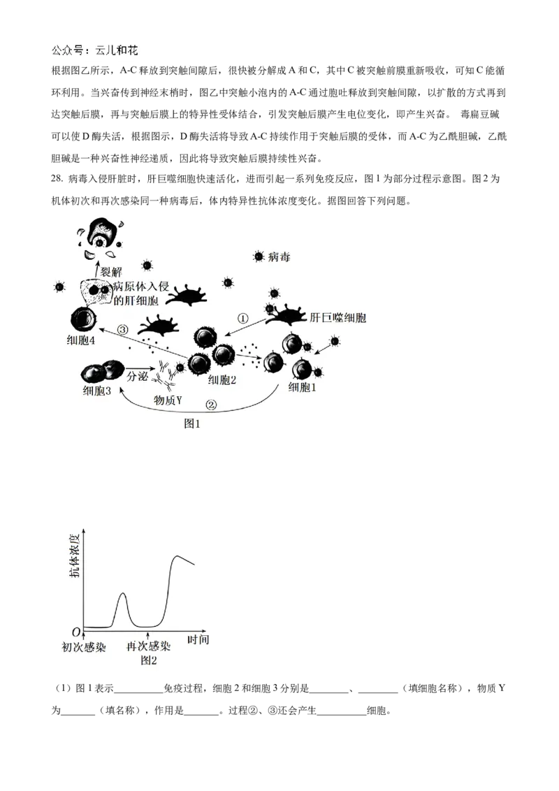 浙江省宁波市三锋教研联盟2024-2025学年高二上学期期中考试生物Word版含解析_2024-2025高二（7-7月题库）_2024年12月试卷_1211浙江省宁波市三锋教研联盟2024-2025学年高二上学期期中考试