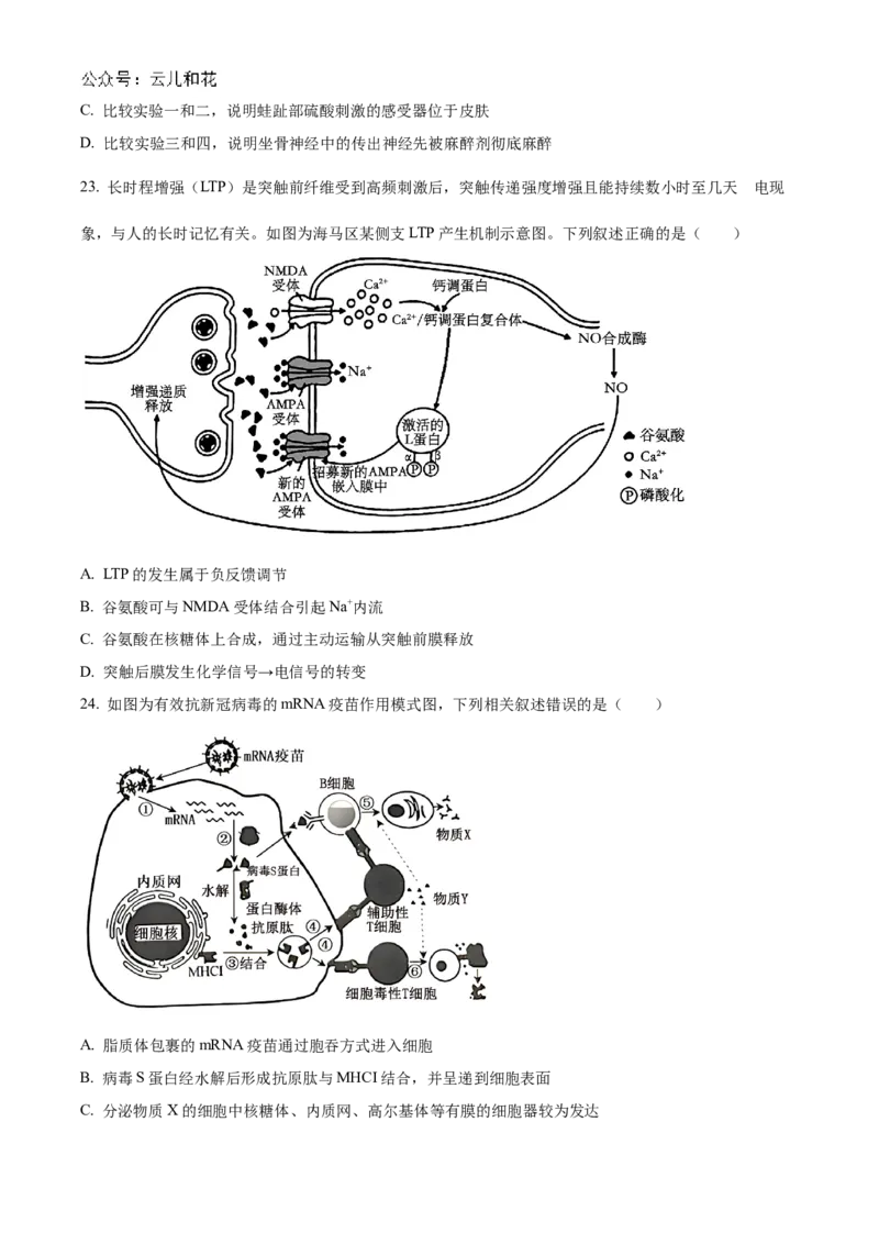 浙江省宁波市三锋教研联盟2024-2025学年高二上学期期中考试生物Word版含解析_2024-2025高二（7-7月题库）_2024年12月试卷_1211浙江省宁波市三锋教研联盟2024-2025学年高二上学期期中考试