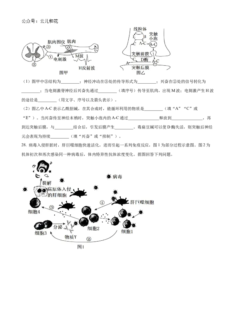 浙江省宁波市三锋教研联盟2024-2025学年高二上学期期中考试生物Word版含解析_2024-2025高二（7-7月题库）_2024年12月试卷_1211浙江省宁波市三锋教研联盟2024-2025学年高二上学期期中考试