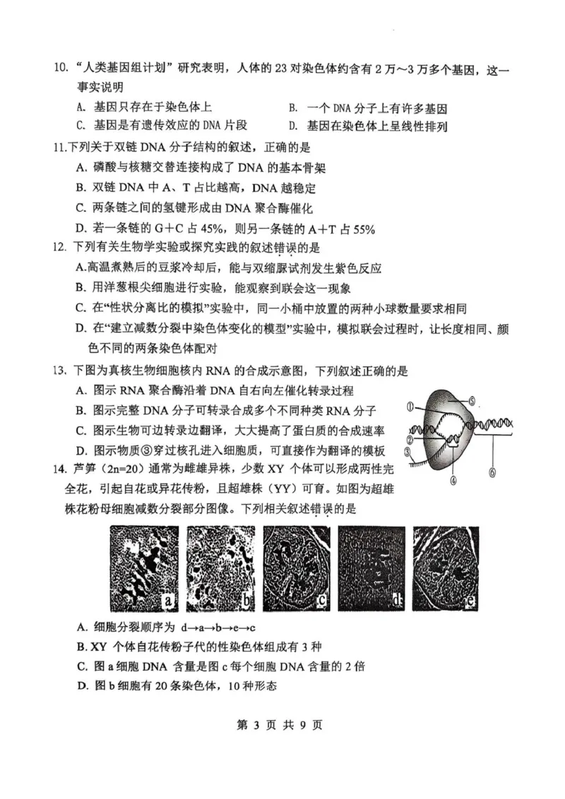江苏省徐州市铜山区2024-2025学年高一下学期4月期中生物试题_2024-2025高二（7-7月题库）_2025年04月试卷(1)_0427江苏省徐州市铜山区2024-2025学年高二下学期4月期中学情调研