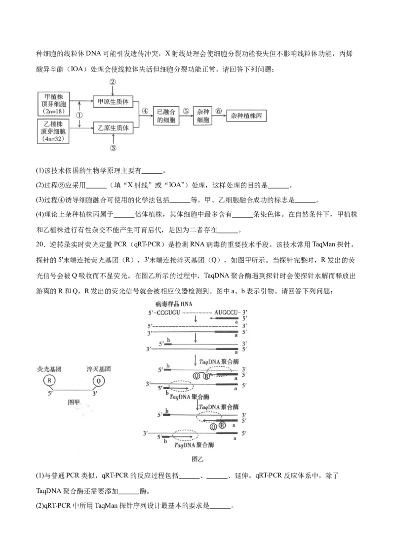 山西省太原市2024-2025学年高二下学期期中考试生物Word版含答案_2024-2025高二（7-7月题库）_2025年05月试卷_0507山西省太原市2024-2025学年高二下学期期中考试