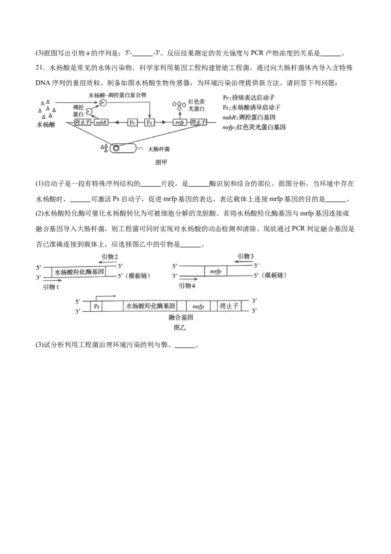 山西省太原市2024-2025学年高二下学期期中考试生物Word版含答案_2024-2025高二（7-7月题库）_2025年05月试卷_0507山西省太原市2024-2025学年高二下学期期中考试