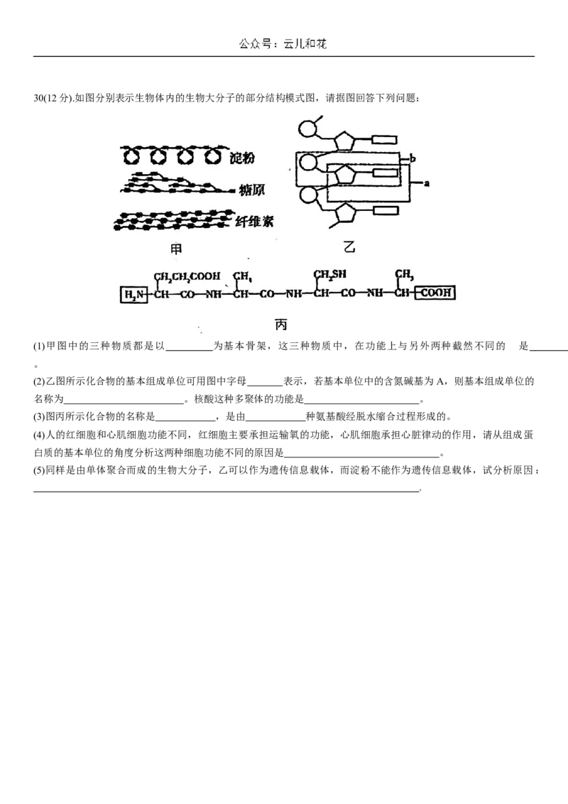 河北省衡水市第二中学2023-2024学年高二下学期6月期末考试生物Word版含解析_2024-2025高二（7-7月题库）_2024年07月试卷_0701河北省衡水市第二中学2023-2024学年高二下学期6月期末考试