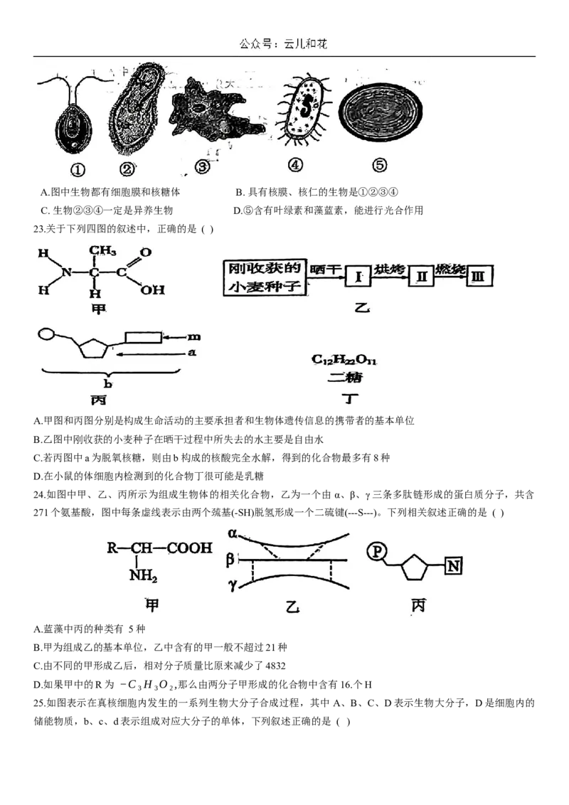 河北省衡水市第二中学2023-2024学年高二下学期6月期末考试生物Word版含解析_2024-2025高二（7-7月题库）_2024年07月试卷_0701河北省衡水市第二中学2023-2024学年高二下学期6月期末考试