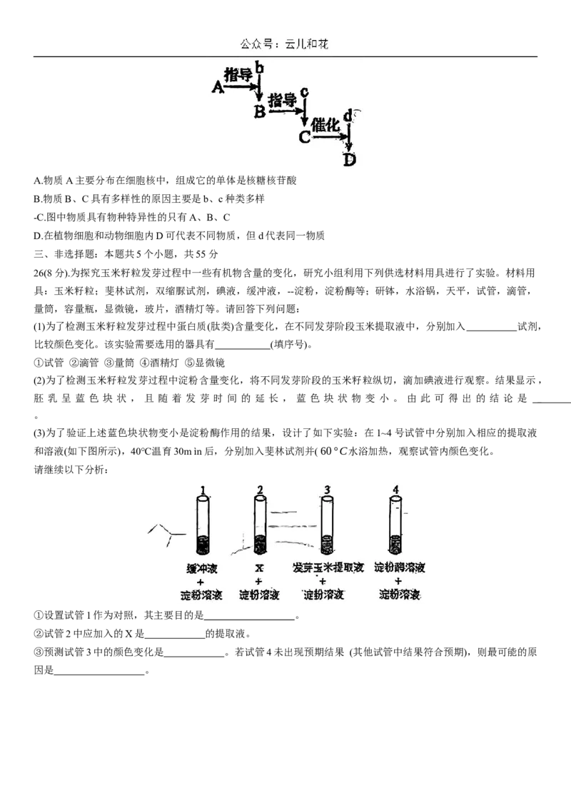 河北省衡水市第二中学2023-2024学年高二下学期6月期末考试生物Word版含解析_2024-2025高二（7-7月题库）_2024年07月试卷_0701河北省衡水市第二中学2023-2024学年高二下学期6月期末考试